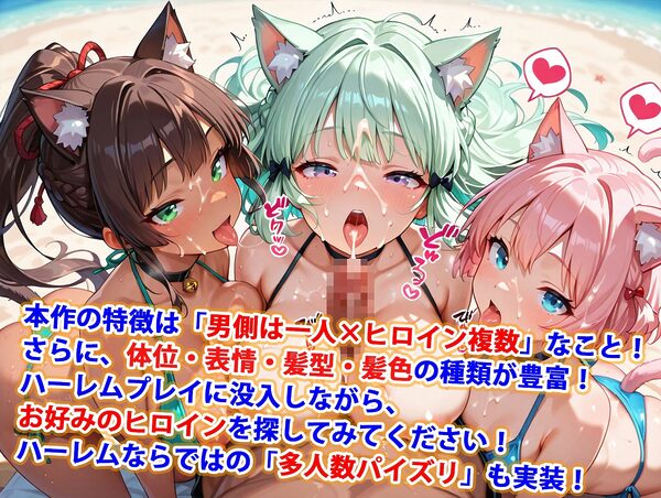 貞操逆転世界のハーレム種付け士〜離島ビーチの爆乳ビキニ猫耳獣人編〜 画像3