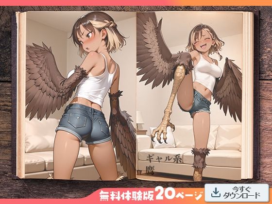 ハーピィ図鑑 画像4