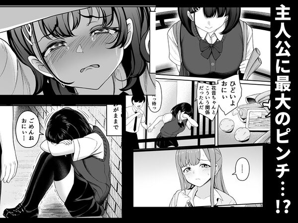 お家ハーレム！？ Sっ気の義妹とMっ気の幼馴染！ 画像10