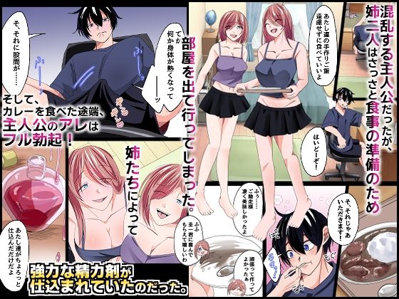 『特別ご奉仕価格』ブラコンのお姉ちゃんたちと。双子の姉たちが大事に取っておいた処女を貰って欲しいと誘惑してくる最高の夏休み！ 画像2