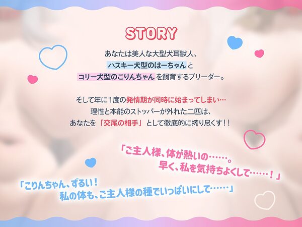 無限交尾〜大型犬耳獣人のハスキー犬とコリー犬は発情期！〜（KU100マイク収録作品） 画像2