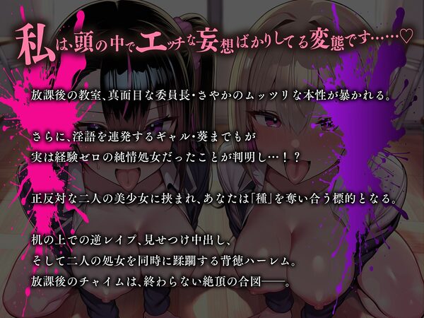 メス犬チャイム♪ 〜清楚な委員長はドM変態、淫語ギャルは純情処女！？〜【KU100】 画像1