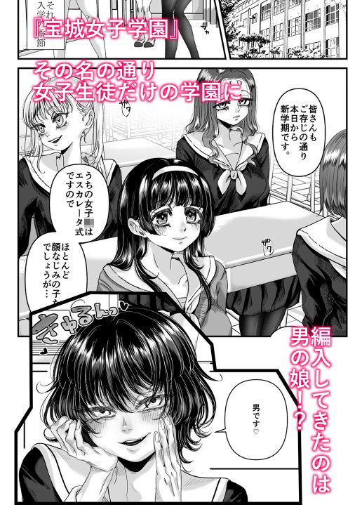 男の娘も女子校に入れるってホント? 画像2